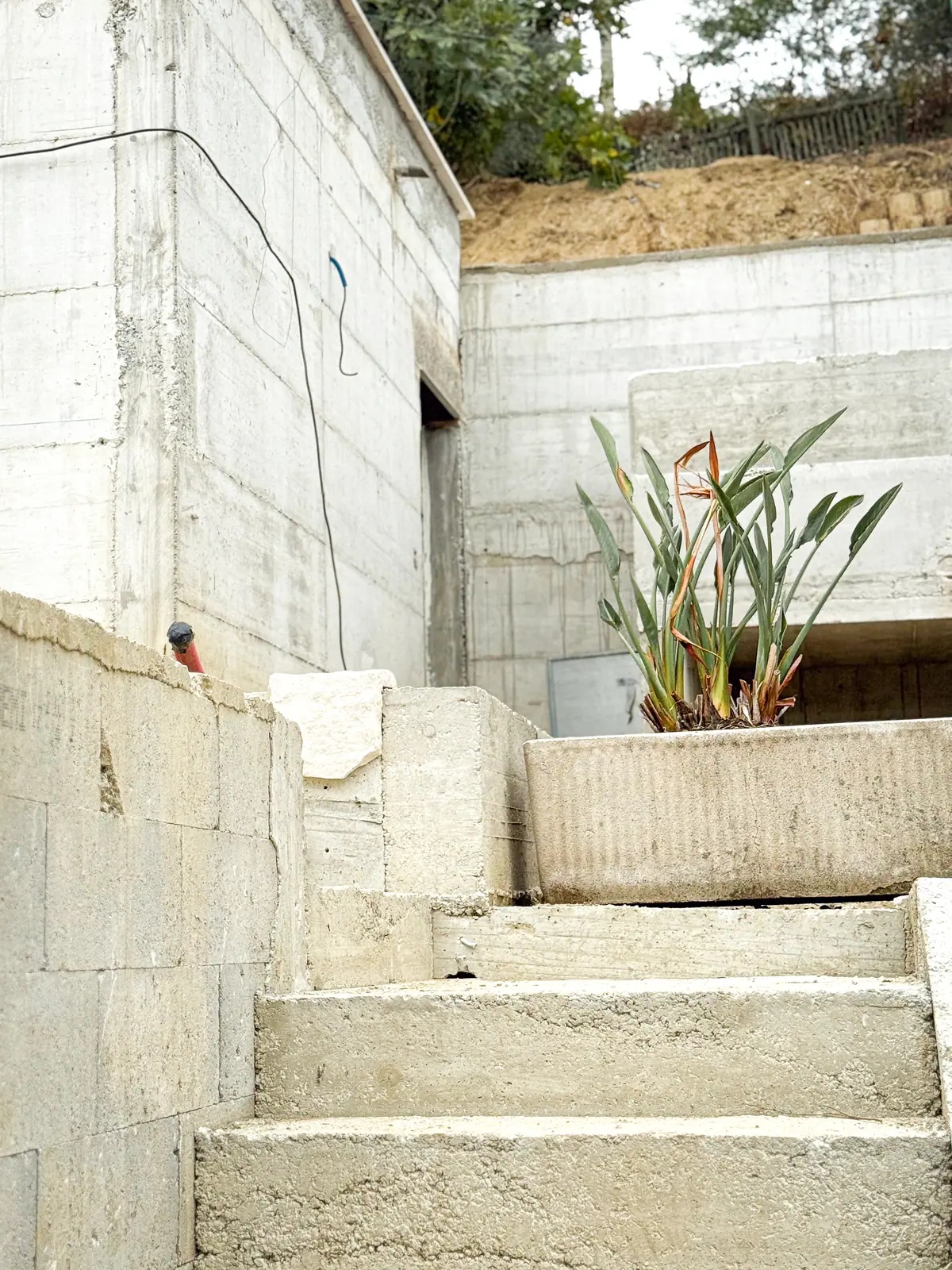 Escalier en béton et jardinière