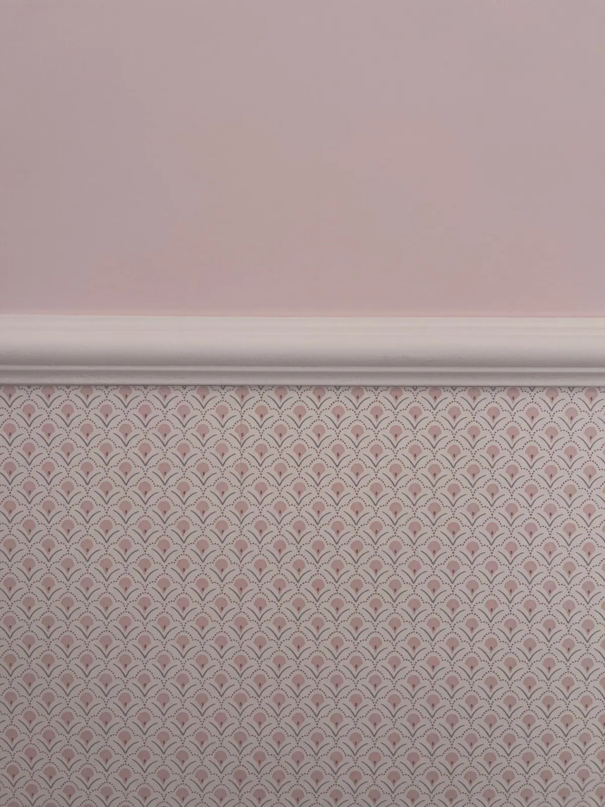 Cimaise entre papier peint et peinture